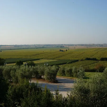Farm stay Agriturismo S.angelo Foiano Della Chiana