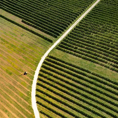 Agriturismo S.angelo Farm stay *