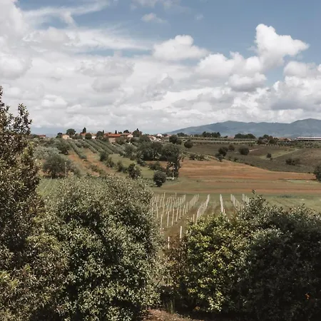 Agriturismo S.angelo * Foiano Della Chiana