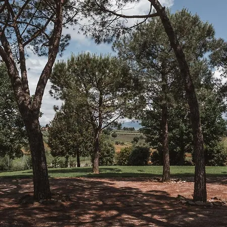 Farm stay Agriturismo S.angelo *