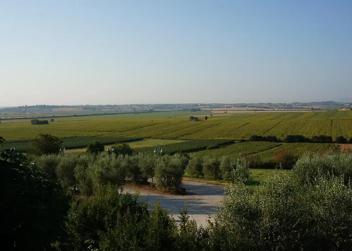 Gospodarstwo agroturystyczne S.angelo Foiano Della Chiana